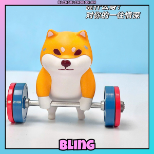 Kuraya Shiba Tourshiba 2nd